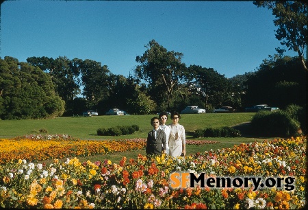 Golden Gate Park