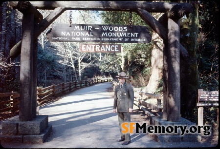 Muir Woods