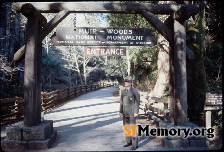 Muir Woods