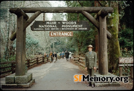 Muir Woods