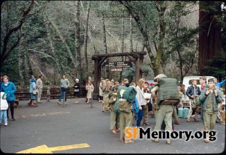 Muir Woods