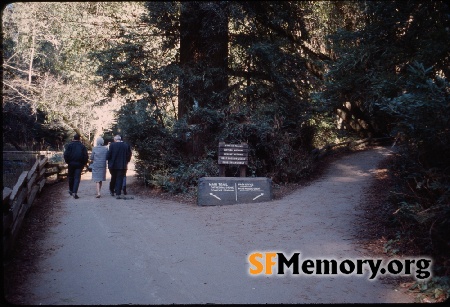 Muir Woods