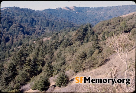 Mt. Tamalpais