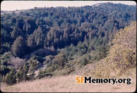 Mt. Tamalpais