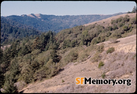 Mt. Tamalpais