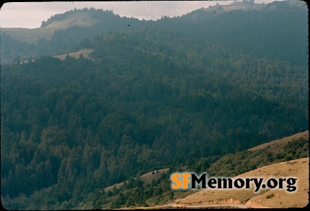 Mt. Tamalpais