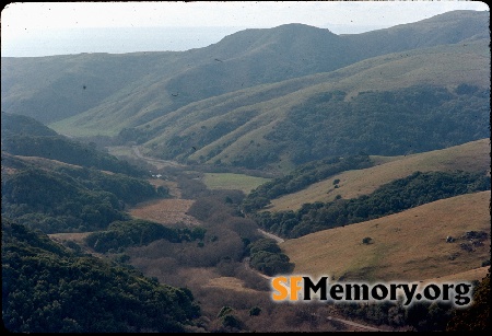 Mt. Tamalpais