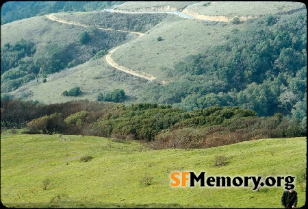 Mt. Tamalpais