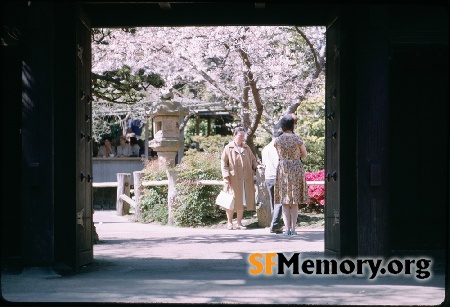 Japanese Tea Garden