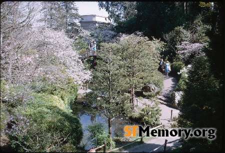 Japanese Tea Garden