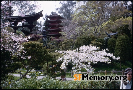 Japanese Tea Garden