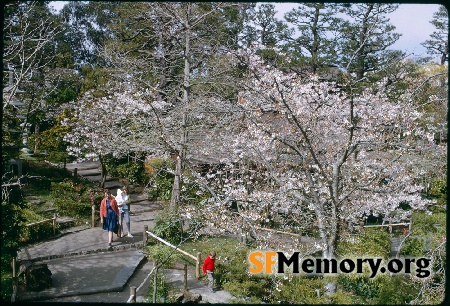 Japanese Tea Garden