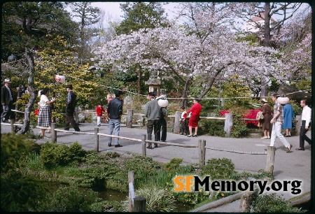 Japanese Tea Garden