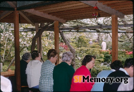 Japanese Tea Garden