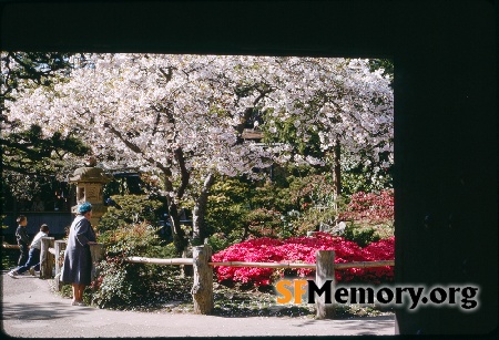 Japanese Tea Garden