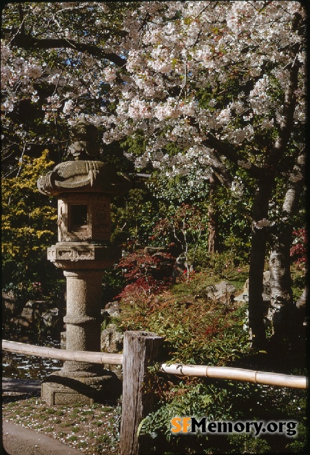 Japanese Tea Garden