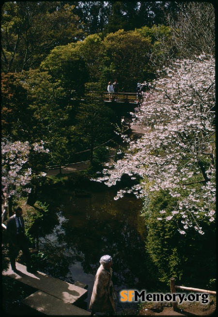 Japanese Tea Garden