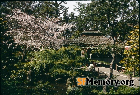 Japanese Tea Garden