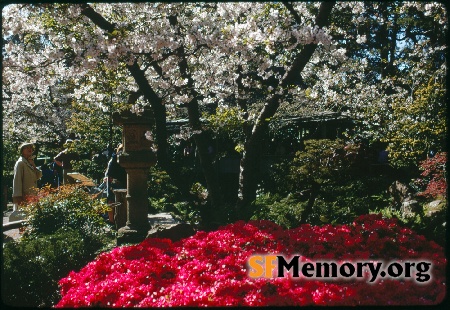 Japanese Tea Garden