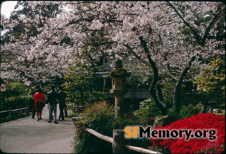 Japanese Tea Garden