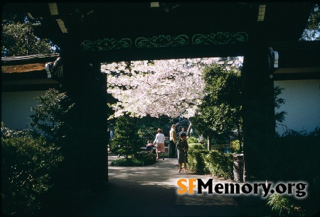 Japanese Tea Garden