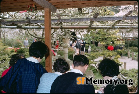 Japanese Tea Garden