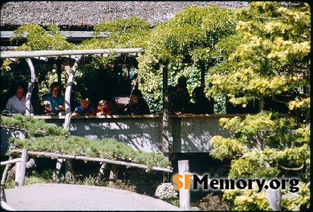 Japanese Tea Garden