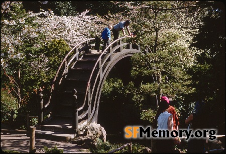 Japanese Tea Garden