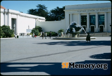 Golden Gate Park