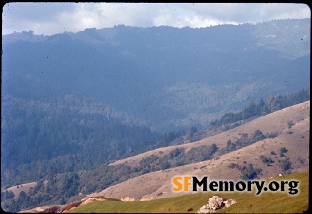 Mt. Tamalpais