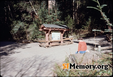 Muir Woods