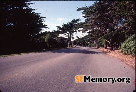 Golden Gate Park
