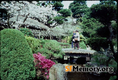 Japanese Tea Garden