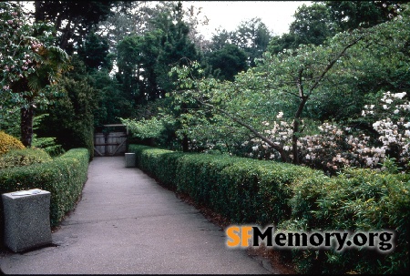 Japanese Tea Garden