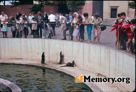 SF Zoo