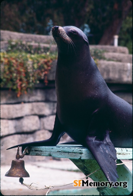 SF Zoo