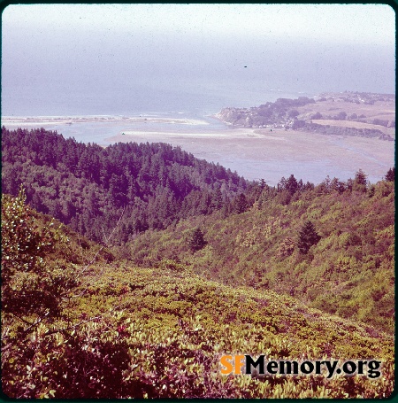 Bolinas Lagoon