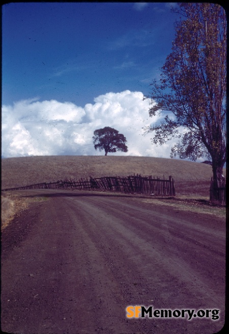 Arastradero Road