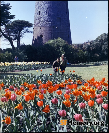 Dutch Windmill