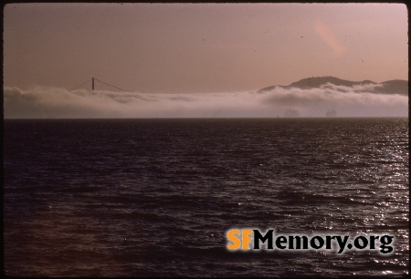 View from SF Bay