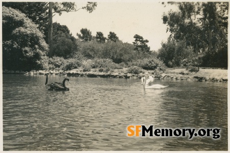 Stow Lake