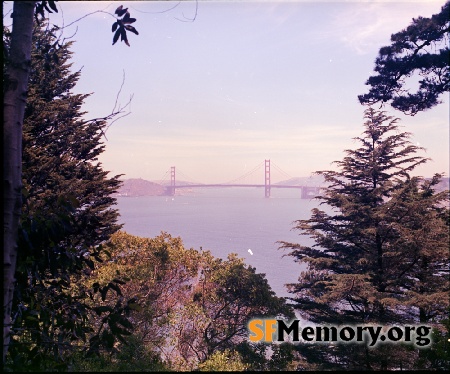 View from Lincoln Park