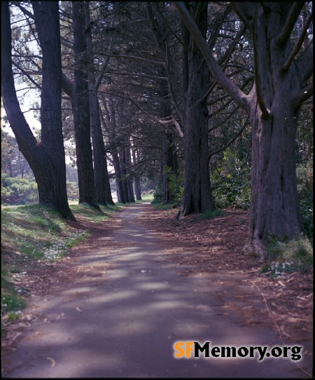 Golden Gate Park