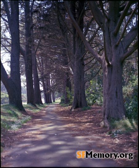 Golden Gate Park