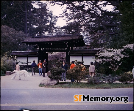 Japanese Tea Garden