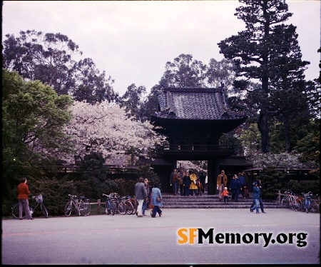 Japanese Tea Garden