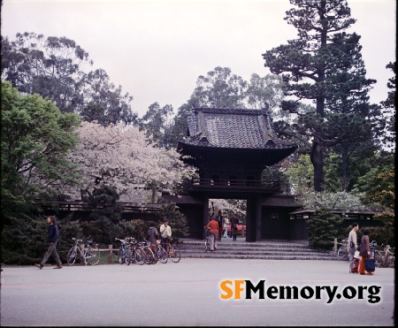 Japanese Tea Garden