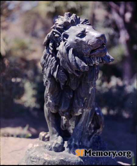 Golden Gate Park