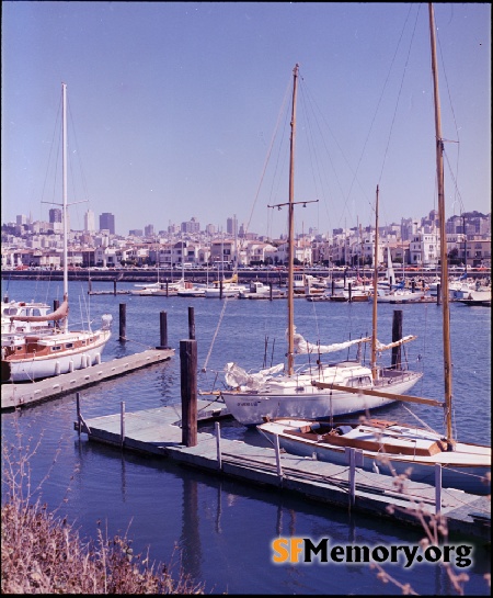 Marina Yacht Harbor