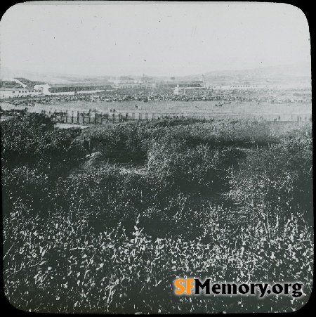 Bay District Racetrack
